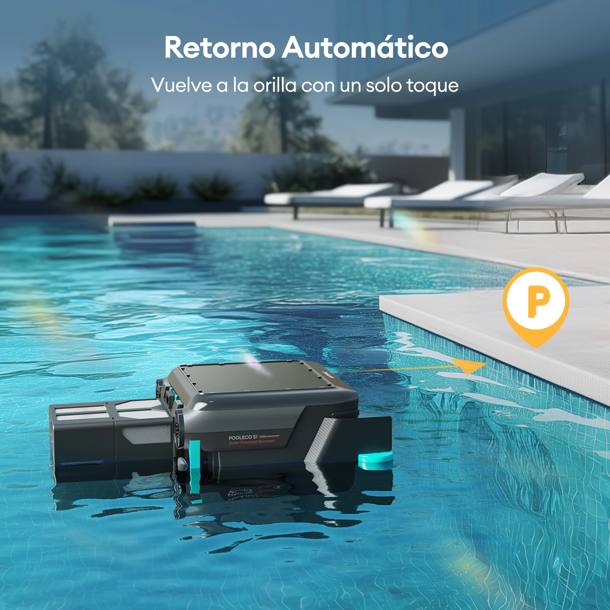 Imagen del producto 7