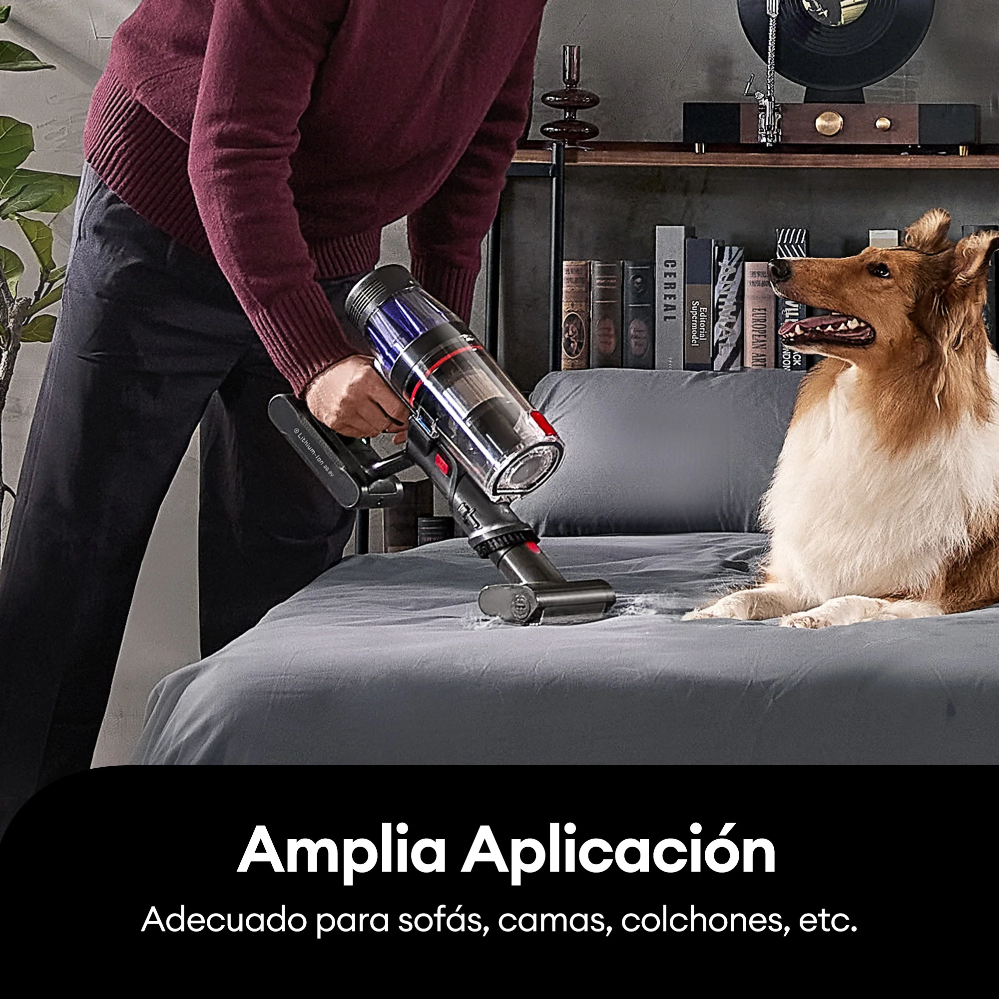 Imagen del producto 12